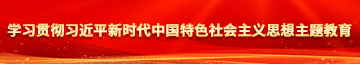 操大比比视频学习贯彻习近平新时代中国特色社会主义思想主题教育